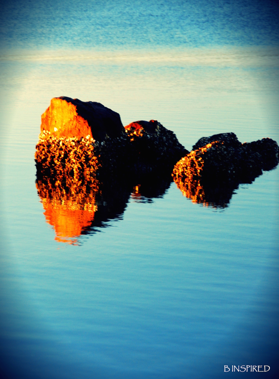 gratitude, love, happiness, wellness, health, wellbeing