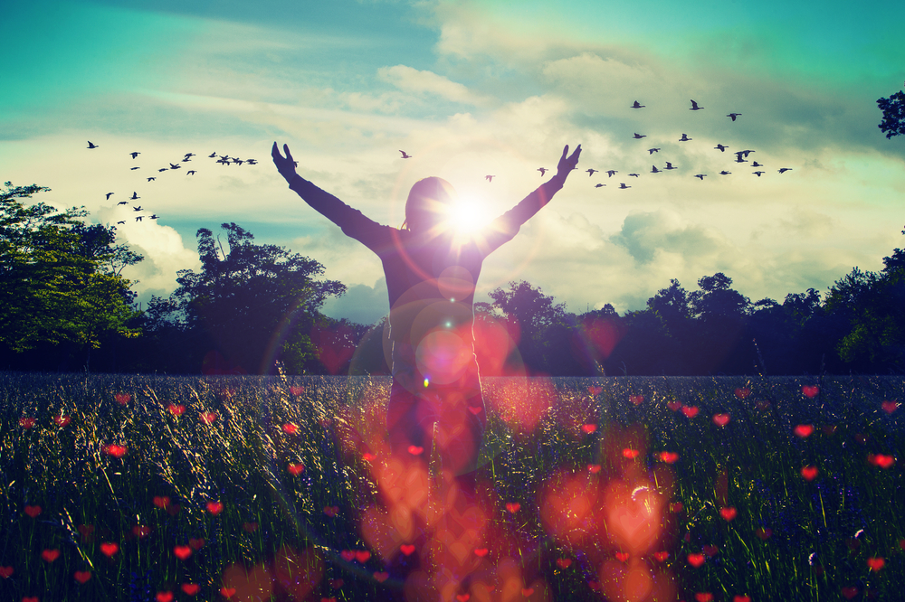 Gratitude, Dreams, Manifestation