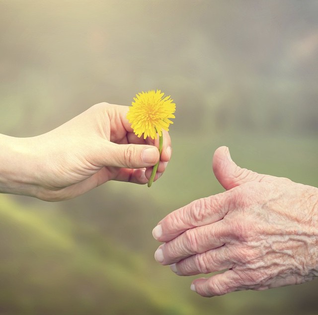 Gratitude, Love, Happiness