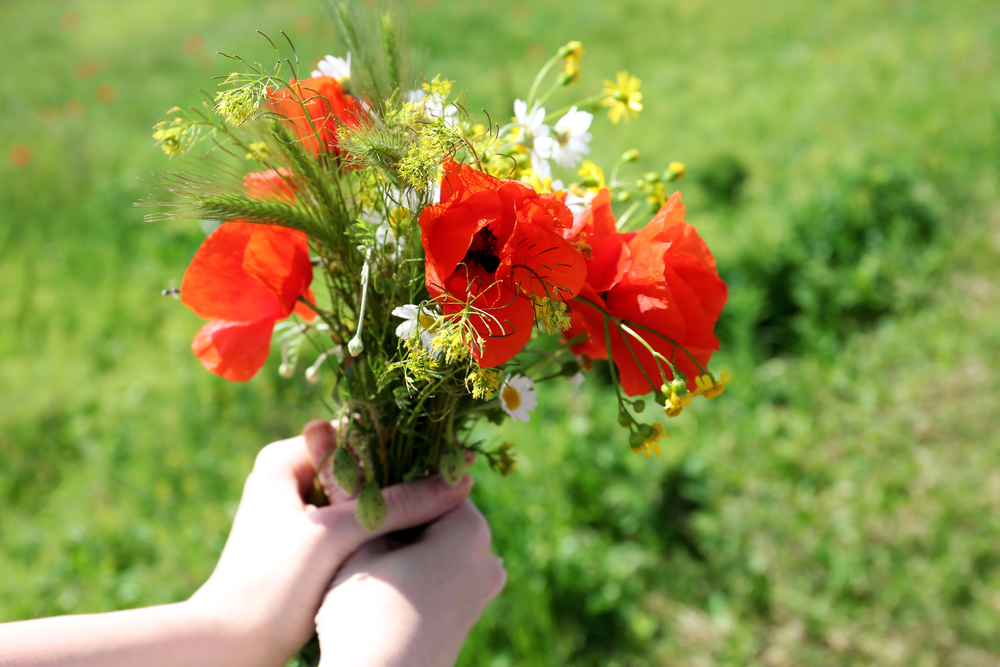 kindness, happiness, love, joy, gratitude, intuition