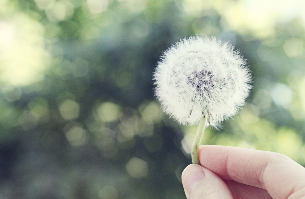 love, gratitude, compassion, self love, relationships